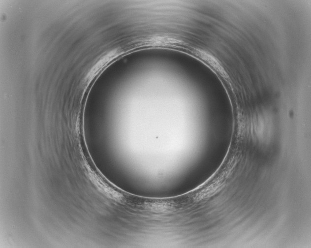 X0000060800946200511101415