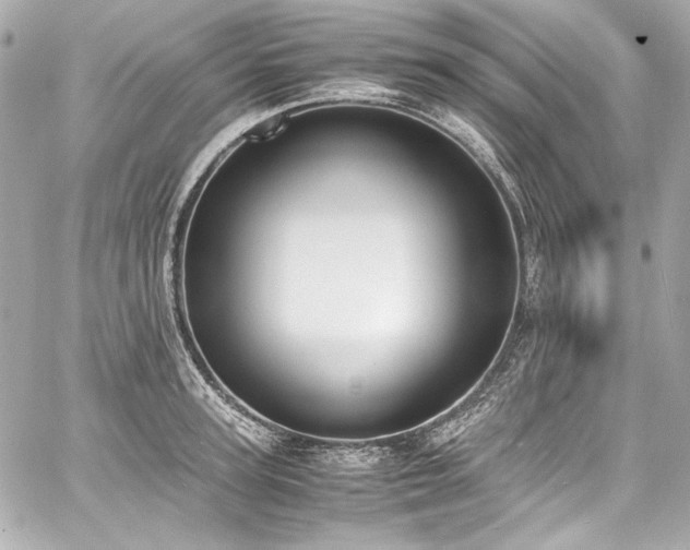 X0000060800947200511101415