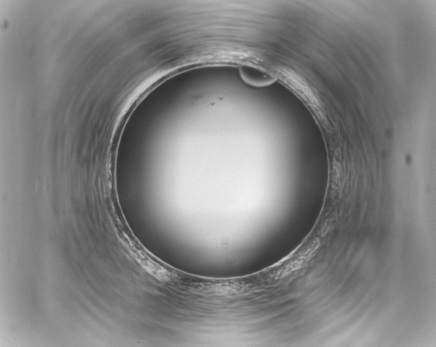 X0000060800948200511101415