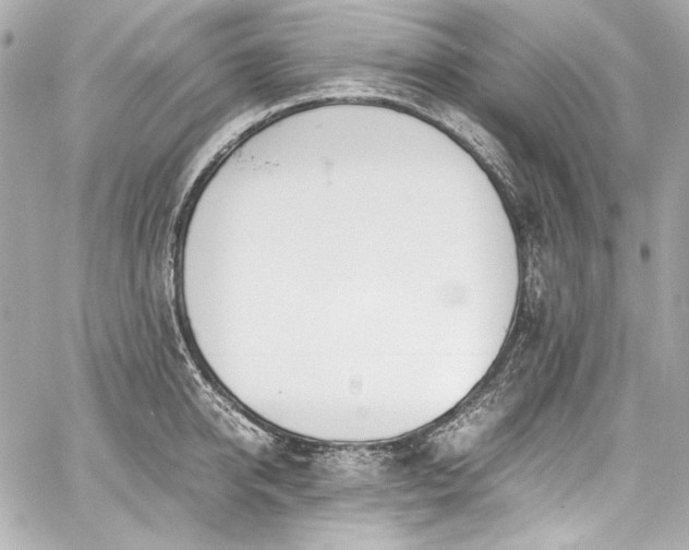 X0000060800950200511101415