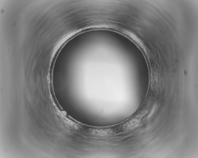 X0000060800951200511101415