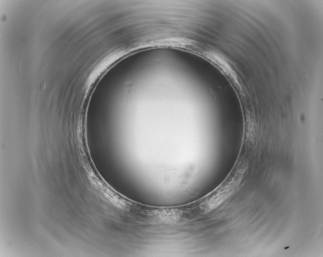 X0000060800952200511101415