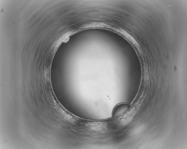 X0000060800953200511101415