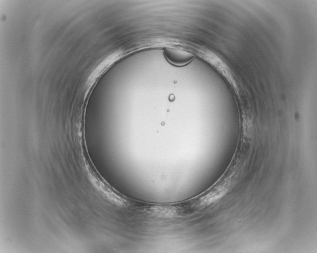 X0000060800954200511101415