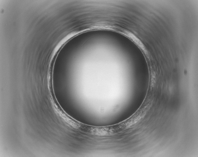 X0000060800955200511101415