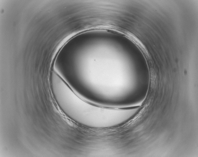 X0000060800956200511101415