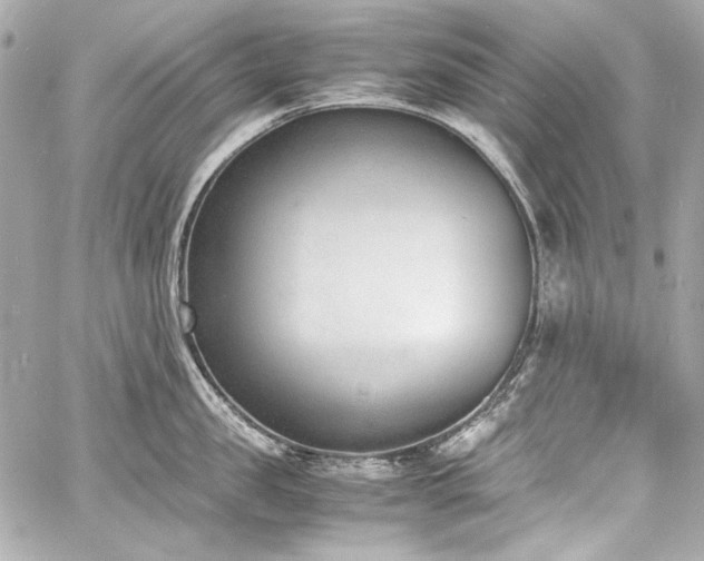 X0000060800957200511101416