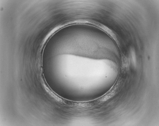 X0000060800958200511101416