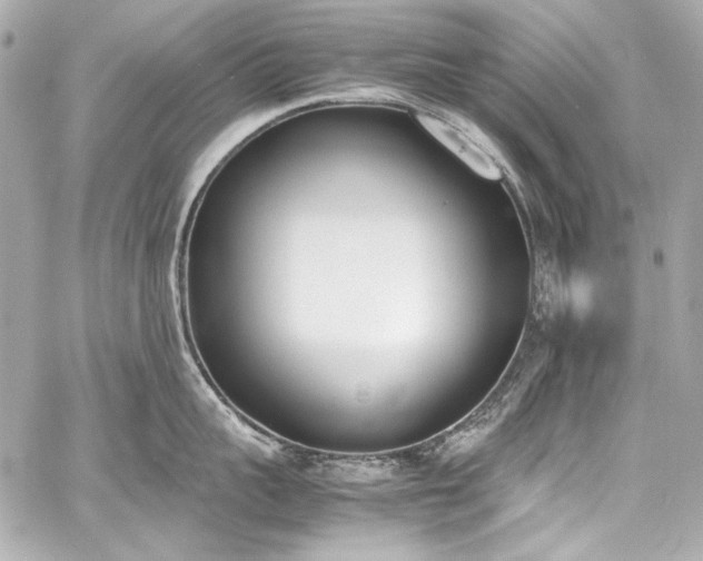 X0000060800959200511101416