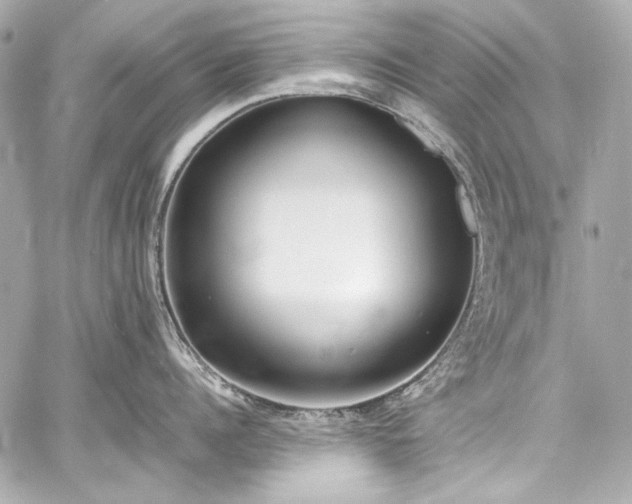 X0000060800960200511101416