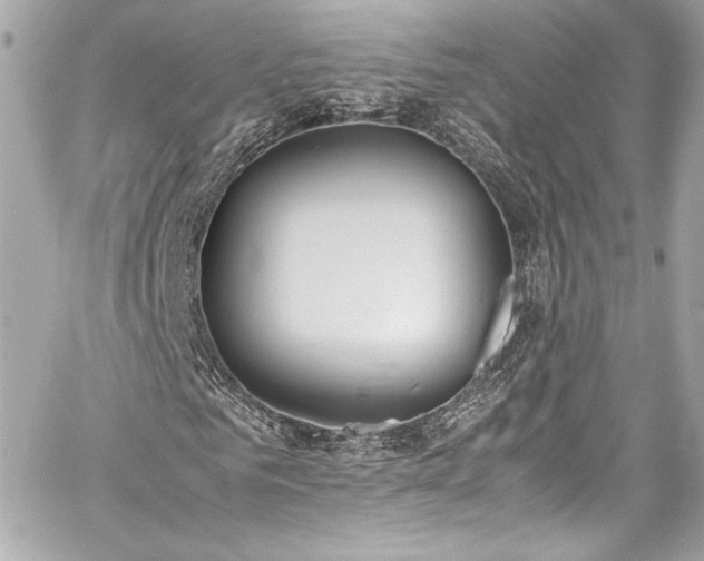 X0000060800961200511101415