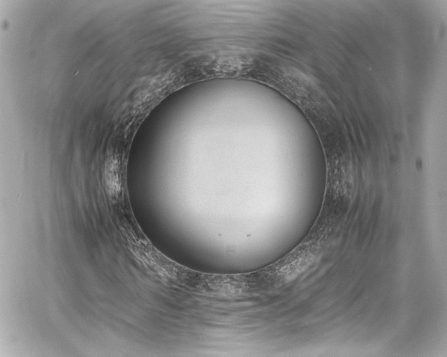 X0000060800962200511101415