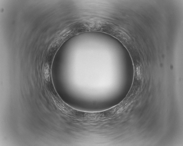 X0000060800963200511101415