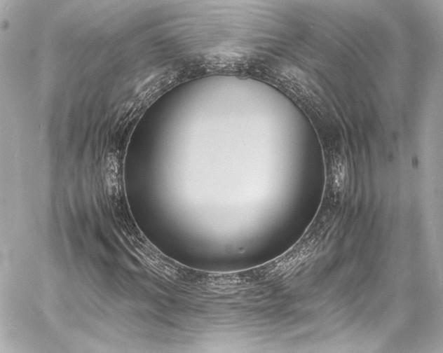 X0000060800964200511101415