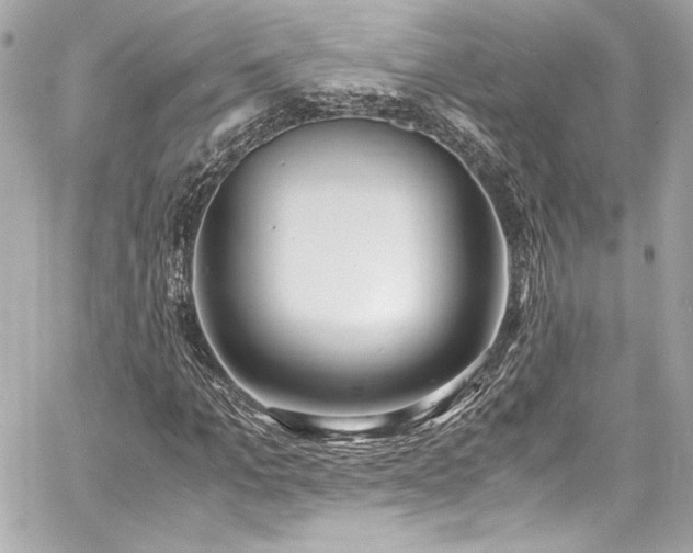 X0000060800965200511101415