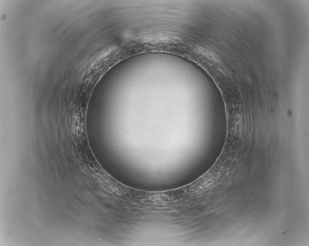 X0000060800966200511101415