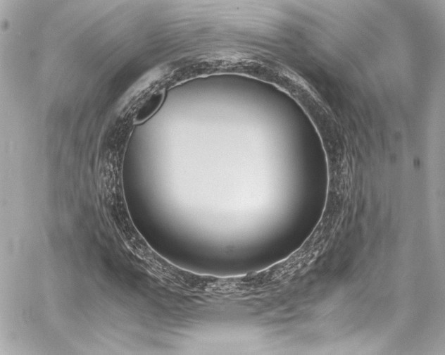 X0000060800967200511101415