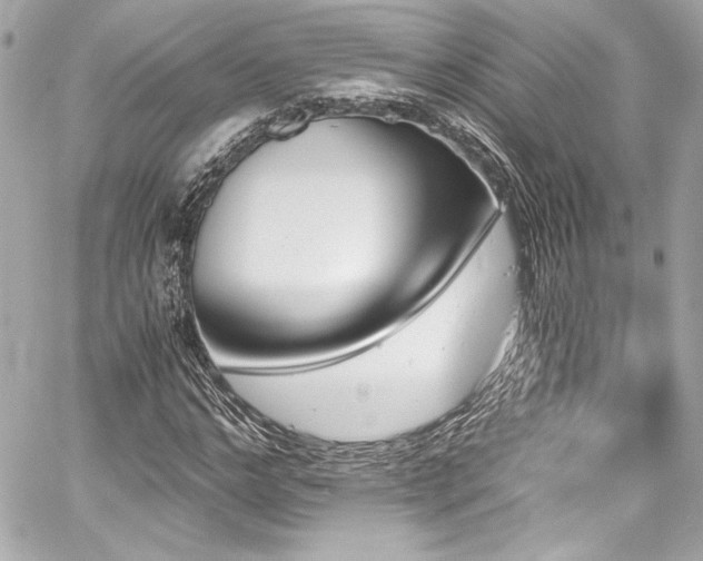 X0000060800968200511101415