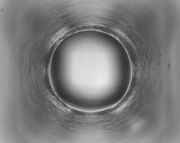 X0000060800969200511101415