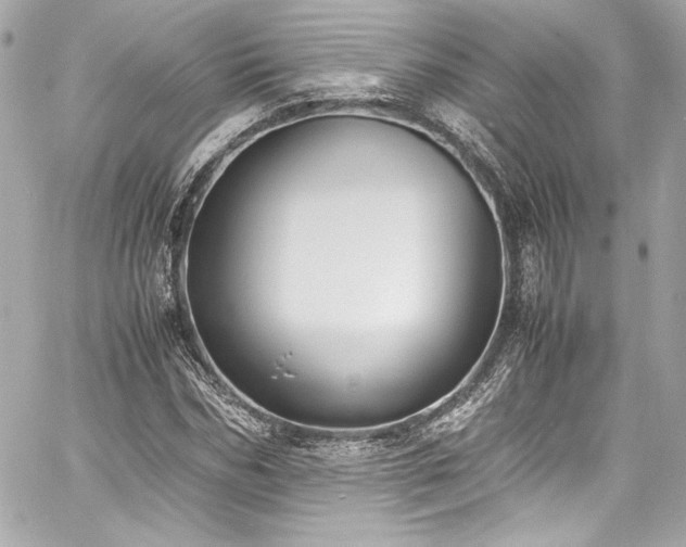 X0000060800970200511101415