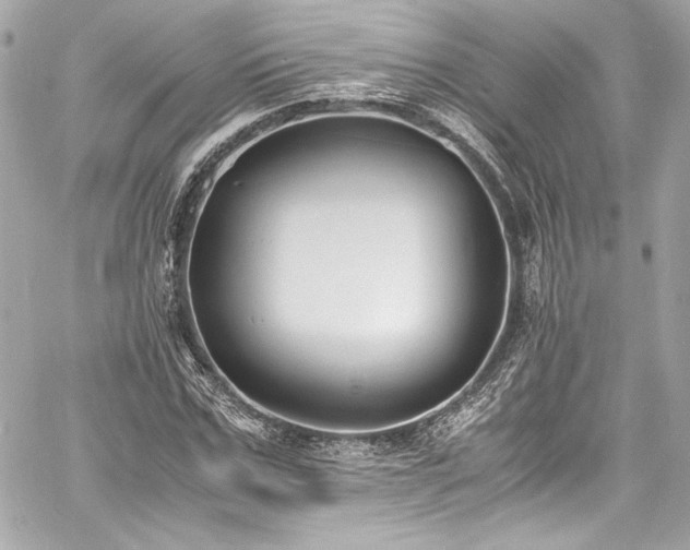 X0000060800971200511101415