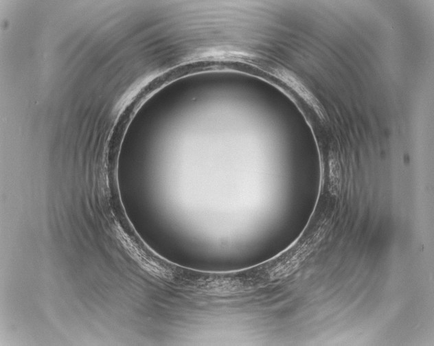 X0000060800972200511101415