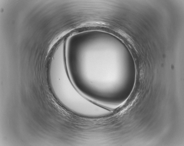 X0000060800973200511101415