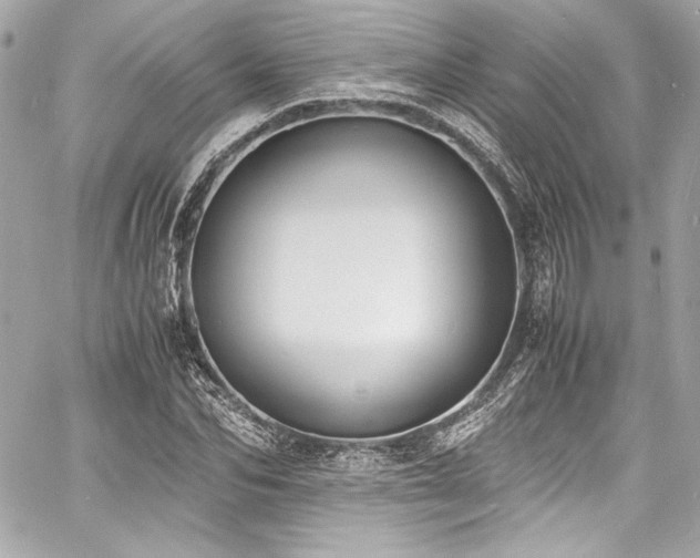 X0000060800974200511101415