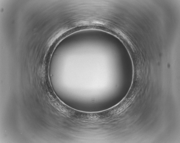 X0000060800975200511101414