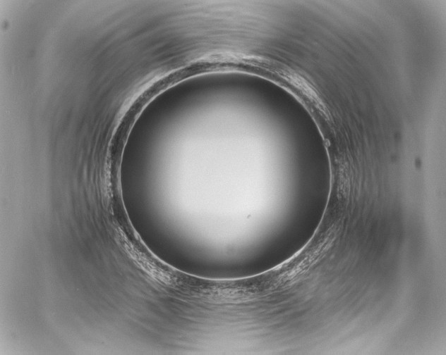 X0000060800976200511101414