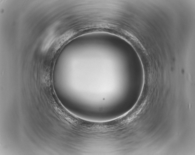 X0000060800977200511101414