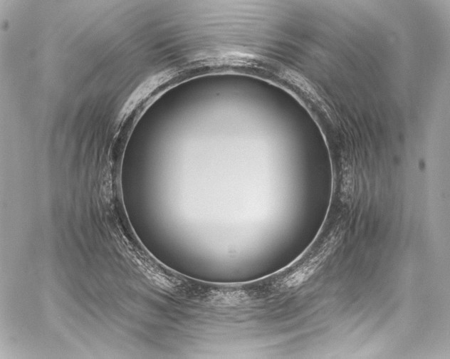 X0000060800978200511101414