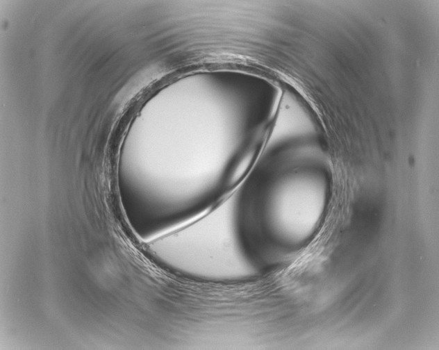 X0000060800979200511101414