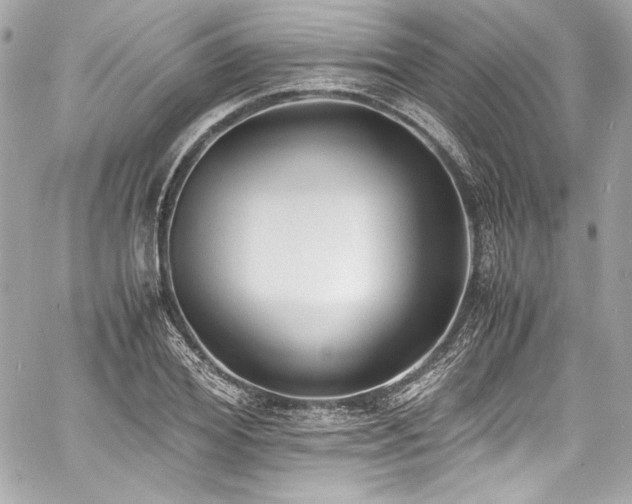 X0000060800980200511101414