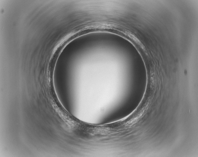 X0000060800981200511101414