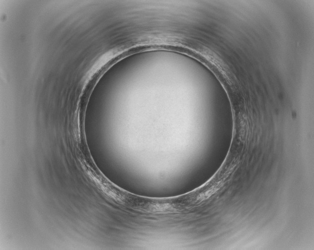 X0000060800982200511101414