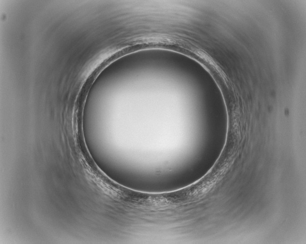 X0000060800983200511101414