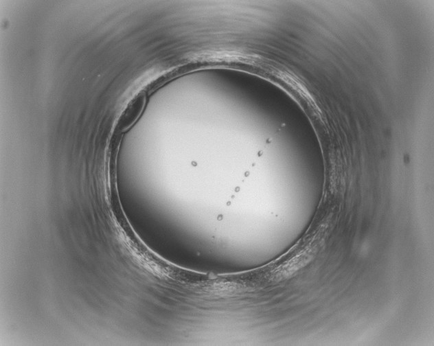 X0000060800984200511101414