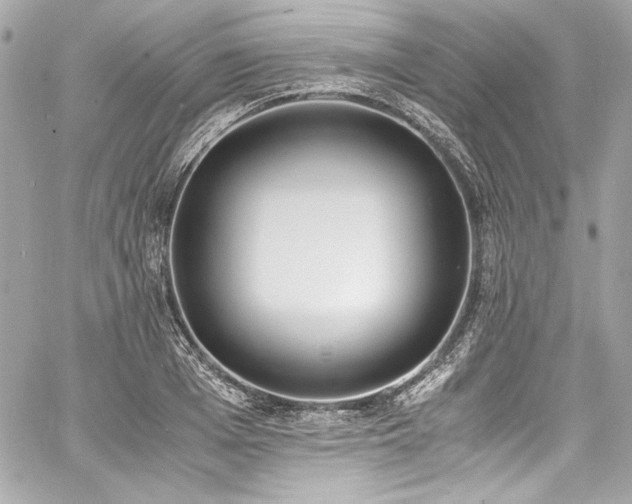 X0000060800985200511101414