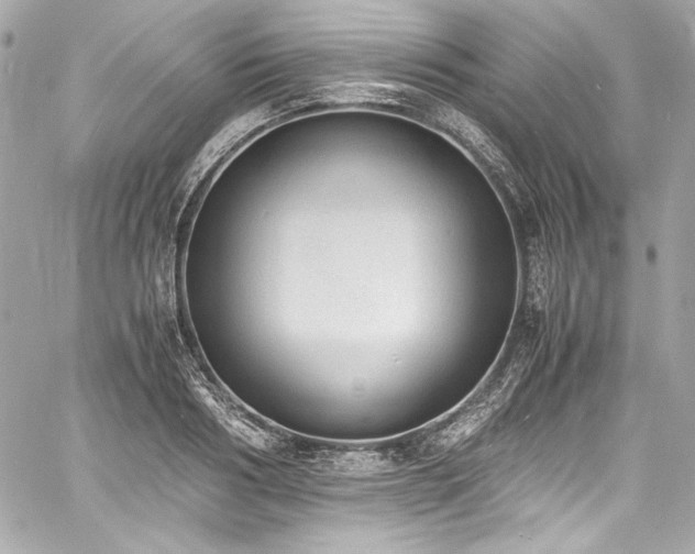 X0000060800986200511101414