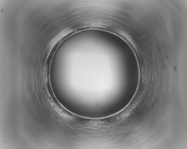 X0000060800987200511101414