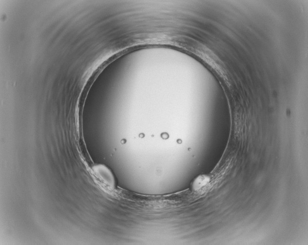 X0000060800988200511101414