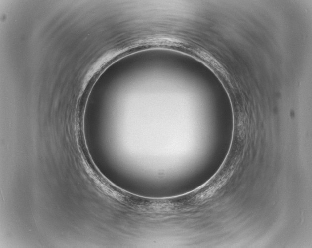 X0000060800989200511101414