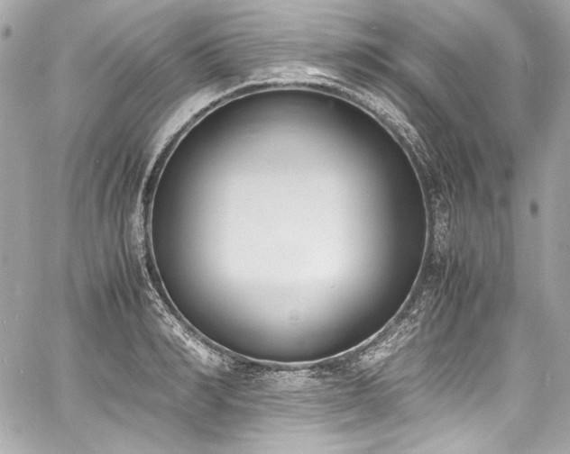 X0000060800990200511101414