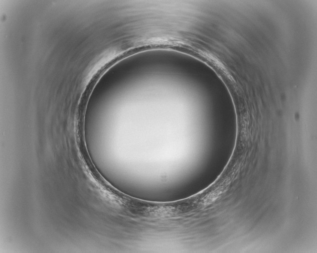 X0000060800991200511101414