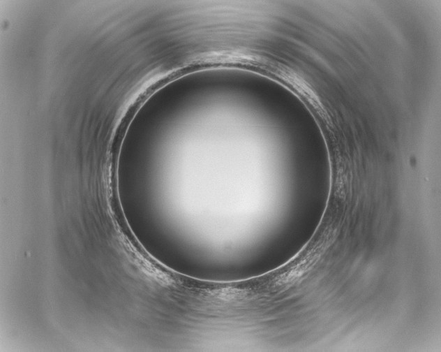 X0000060800992200511101414