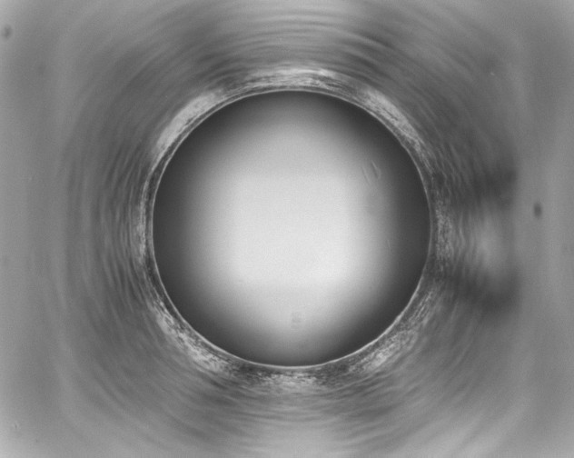 X0000060800994200511101414