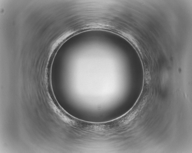 X0000060800995200511101414