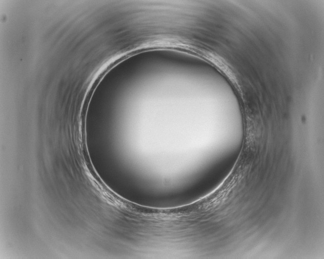 X0000060800996200511101414