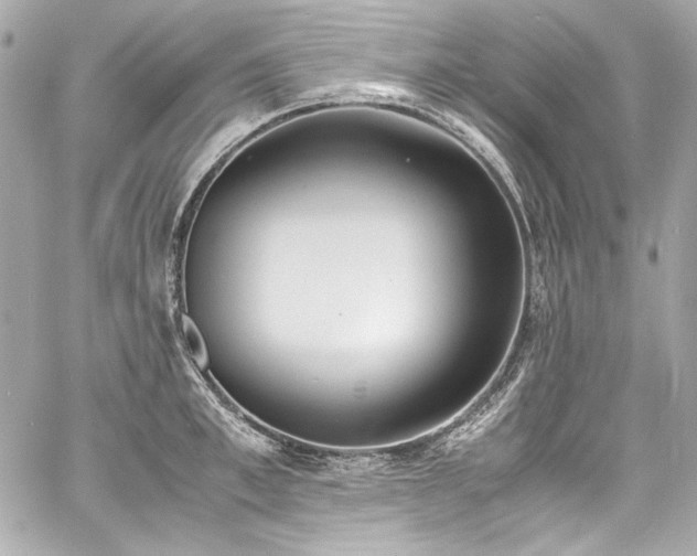 X0000060800997200511101414